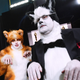 Image for article titled Please Sign This Petition To Keep James Corden Out Of The Wicked Movie
